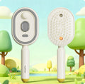 Electric Spray Airbag Massage Comb 